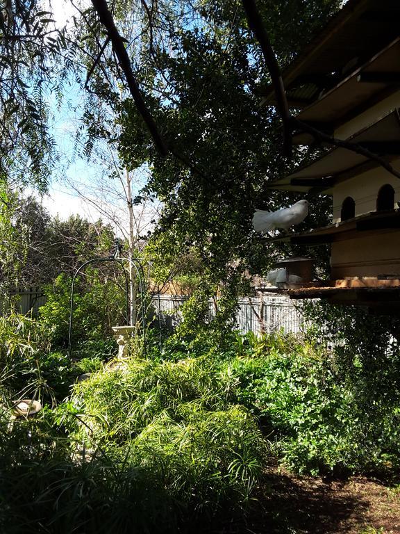 The Dove Cote Bed & Breakfast Tanunda Eksteriør bilde